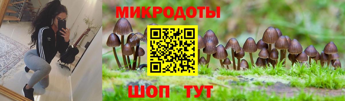 Алапаевск  Галлюциногенные грибы Magic Shrooms  Вход с VPN 