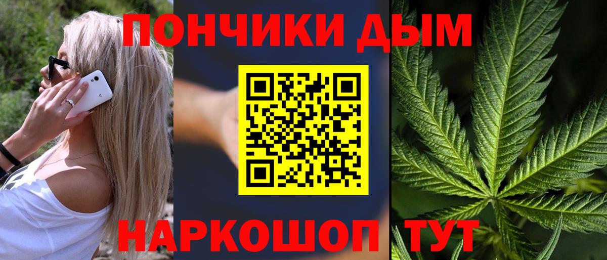 Каннабис план Алапаевск